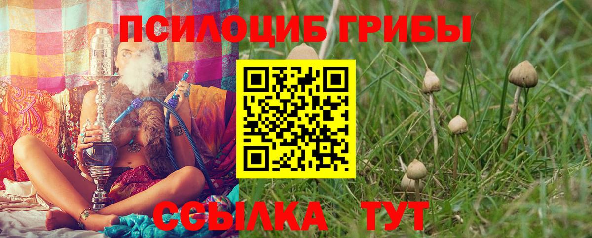 Псилоцибиновые грибы прущие грибы Карпинск