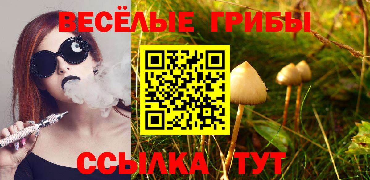 Галлюциногенные грибы прущие грибы  Вход с VPN  Карпинск  Псилоцибиновые грибы Psilocybine cubensis 